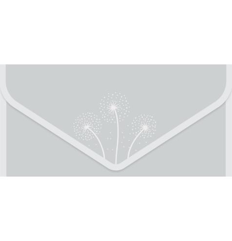 Money envelope card